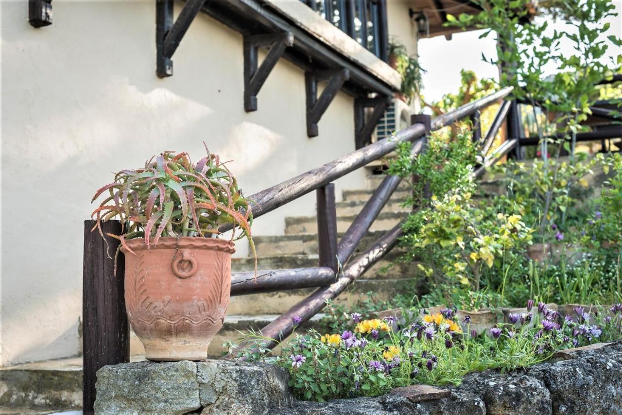 Ampelos Estate อากราตา ภายนอก รูปภาพ
